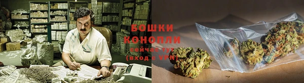 каннабис Магас