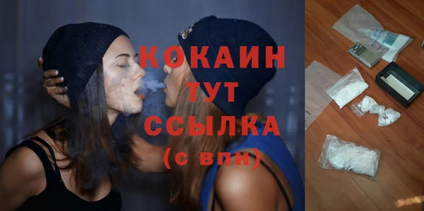 крисы Магадан