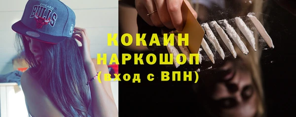 крисы Магадан