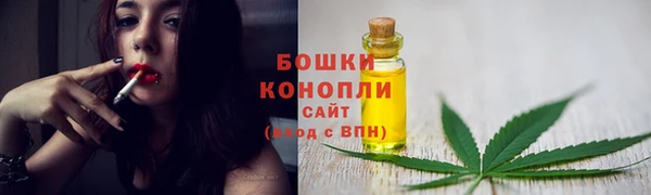 крисы Магадан
