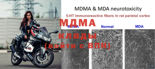крисы Магадан