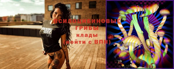 крисы Магадан