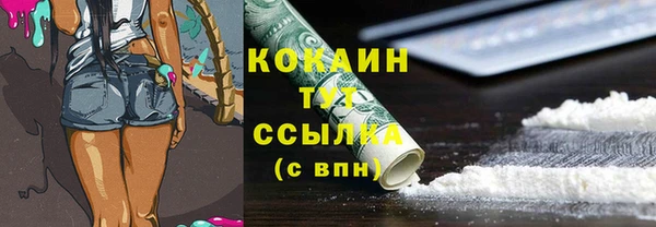 крисы Магадан