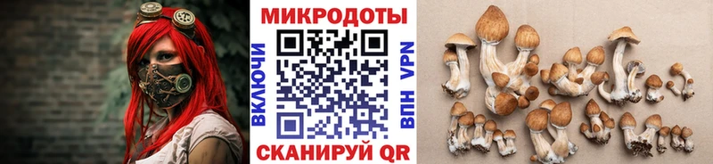 мега маркетплейс  Мурманск  Псилоцибиновые грибы Psilocybe  даркнет сайт 