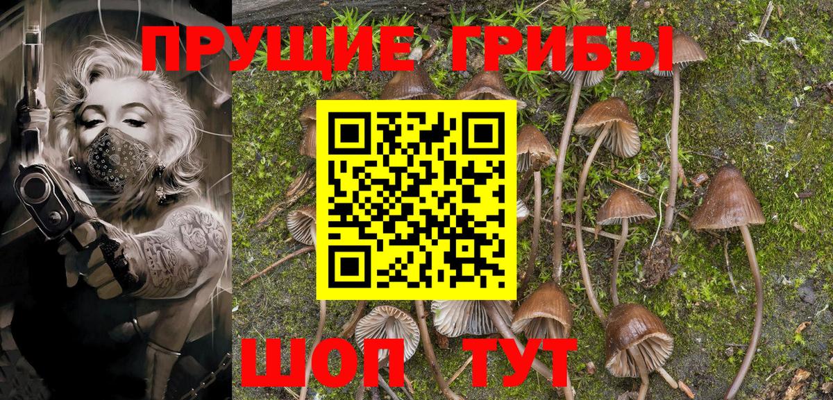Галлюциногенные грибы Psilocybe  Вход с VPN  Мурманск 