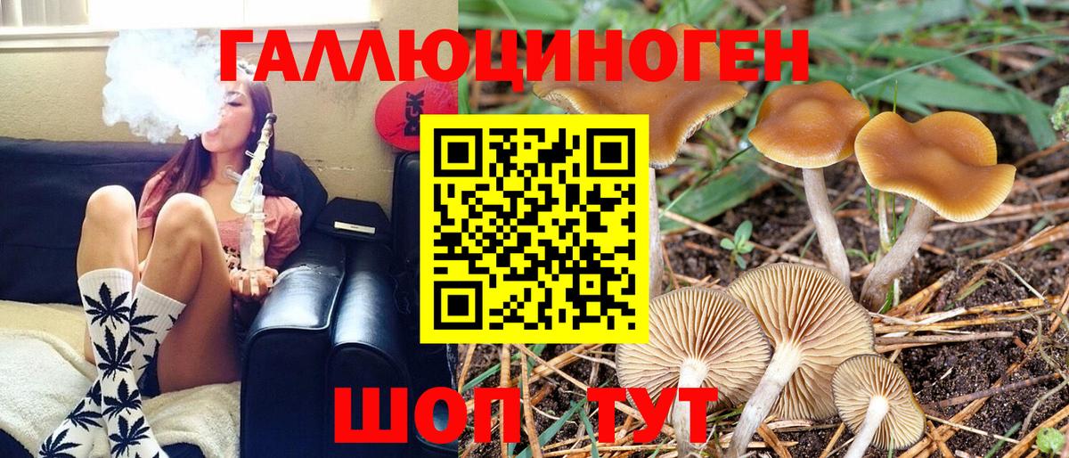 Галлюциногенные грибы мицелий Мурманск